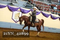21YN_42899 thumbnail