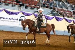 21YN_42916 thumbnail