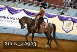 21YN_42923 thumbnail