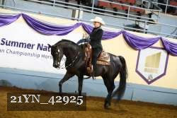 21YN_42925 thumbnail
