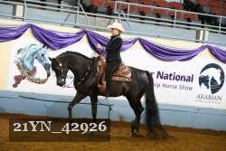 21YN_42926 thumbnail