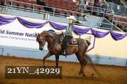 21YN_42929 thumbnail