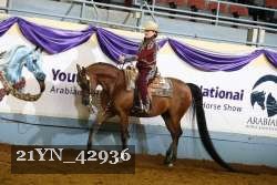 21YN_42936 thumbnail