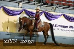 21YN_42937 thumbnail