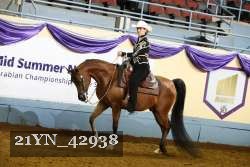 21YN_42938 thumbnail