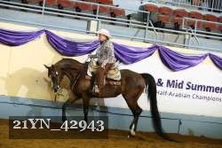 21YN_42943 thumbnail