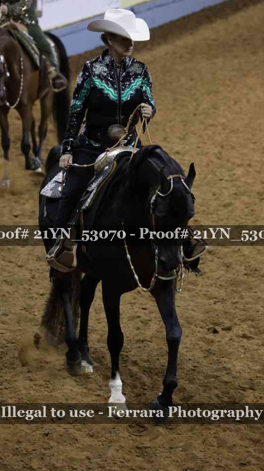 Proof Number 21YN_53070