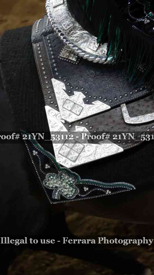 Proof Number 21YN_53112