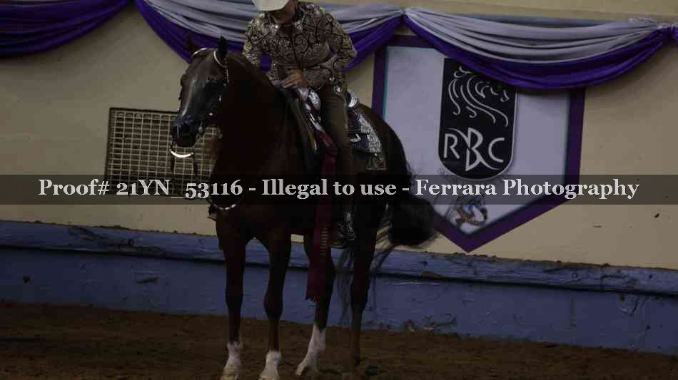 Proof Number 21YN_53116