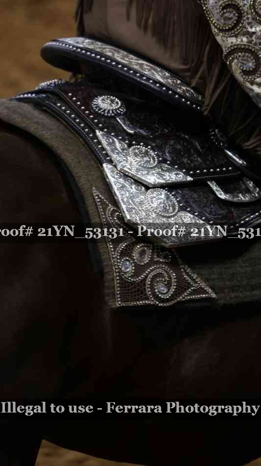 Proof Number 21YN_53131