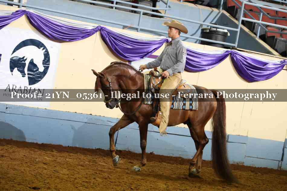 Proof Number 21YN_05361