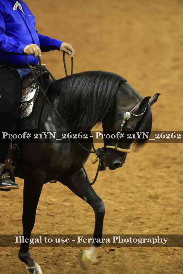 Proof Number 21YN_26262