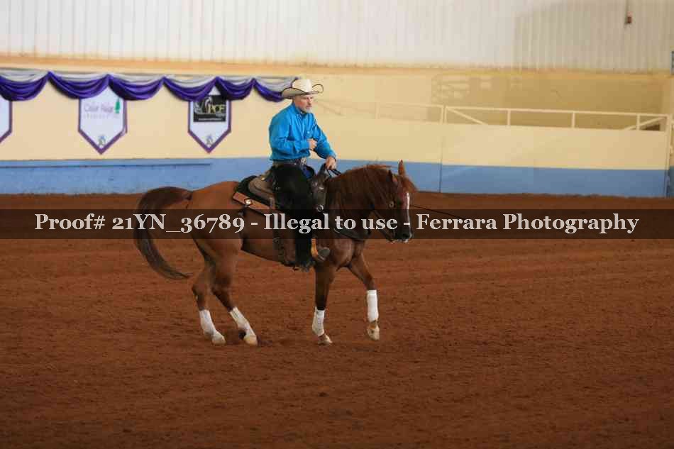Proof Number 21YN_36789