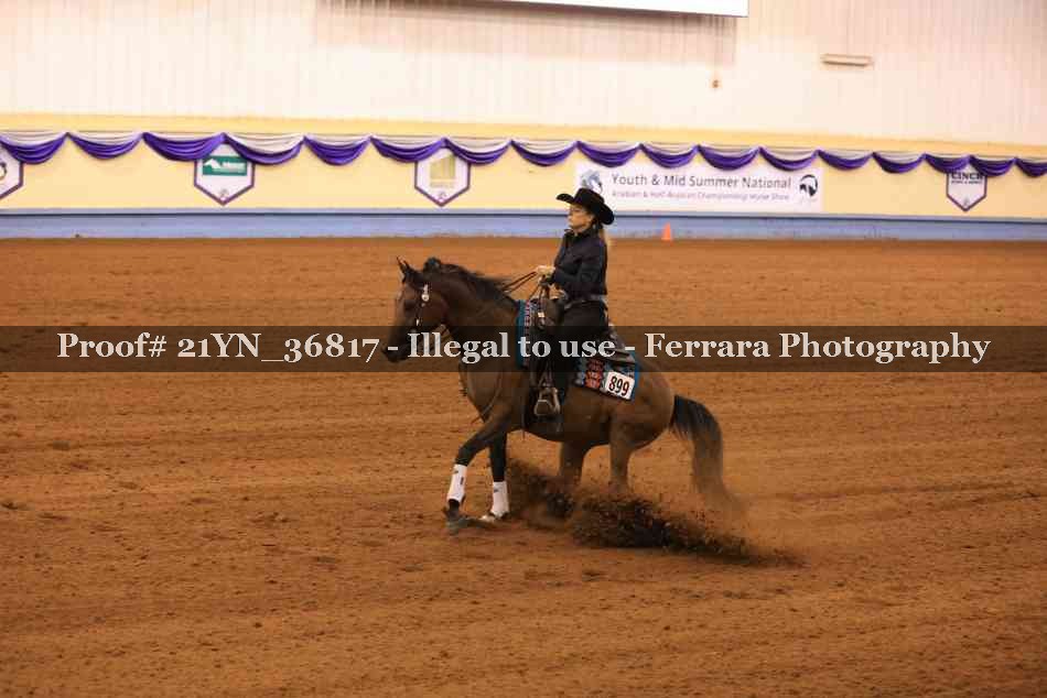 Proof Number 21YN_36817