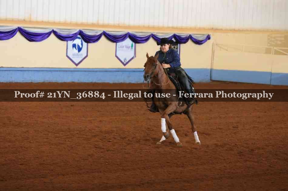 Proof Number 21YN_36884