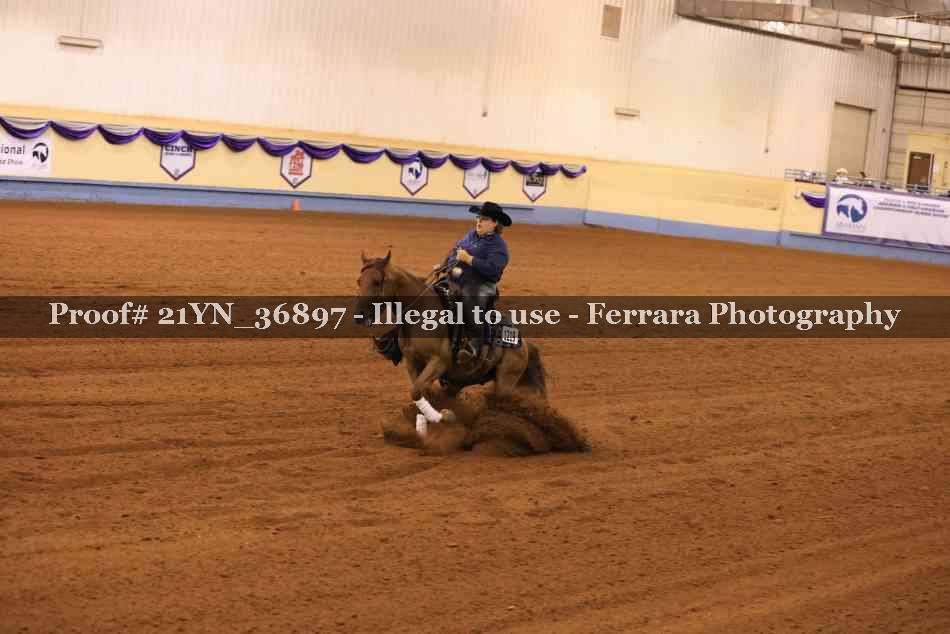 Proof Number 21YN_36897