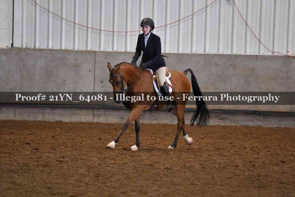 Proof Number 21YN_64081
