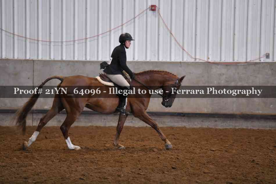 Proof Number 21YN_64096
