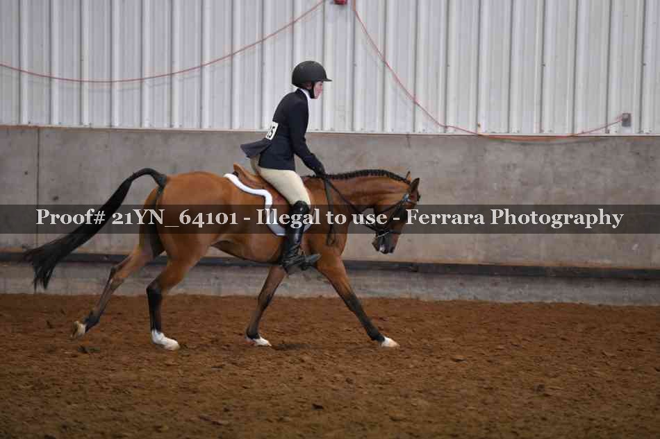 Proof Number 21YN_64101