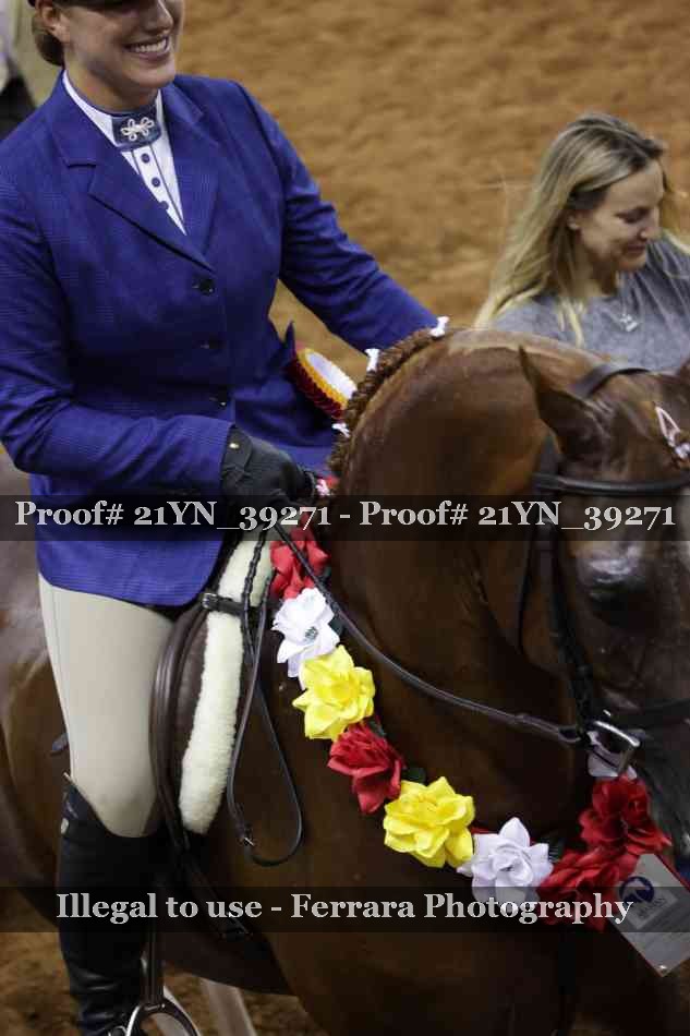 Proof Number 21YN_39271