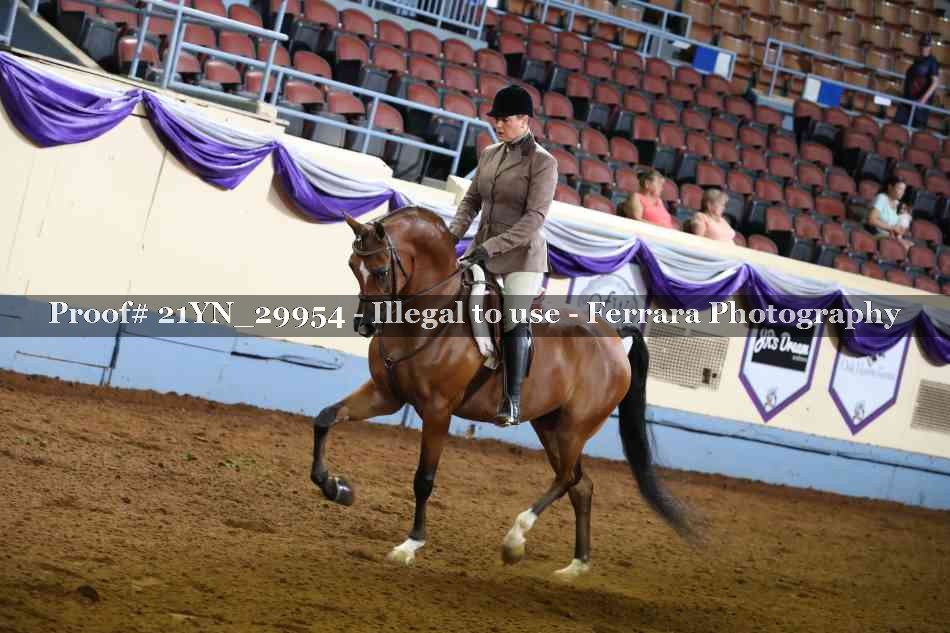 Proof Number 21YN_29954