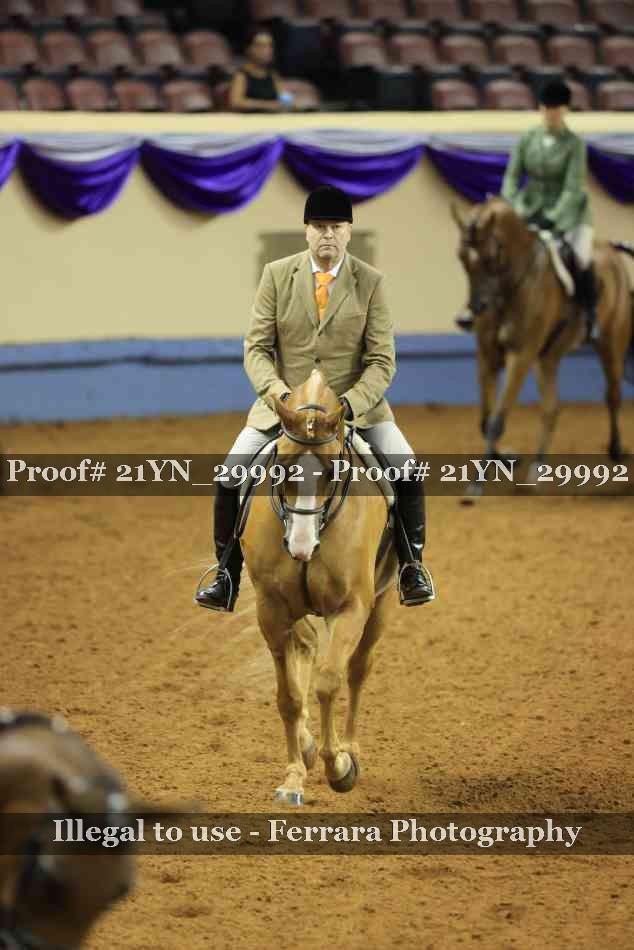 Proof Number 21YN_29992