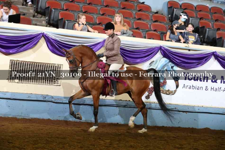 Proof Number 21YN_30109