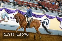 21YN_14676 thumbnail