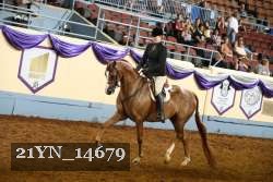 21YN_14679 thumbnail