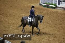21YN_14682 thumbnail