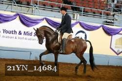 21YN_14684 thumbnail