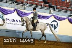 21YN_14685 thumbnail