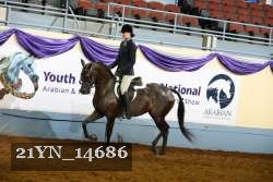 21YN_14686 thumbnail