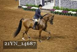 21YN_14687 thumbnail