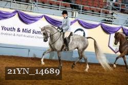 21YN_14689 thumbnail