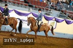21YN_14691 thumbnail