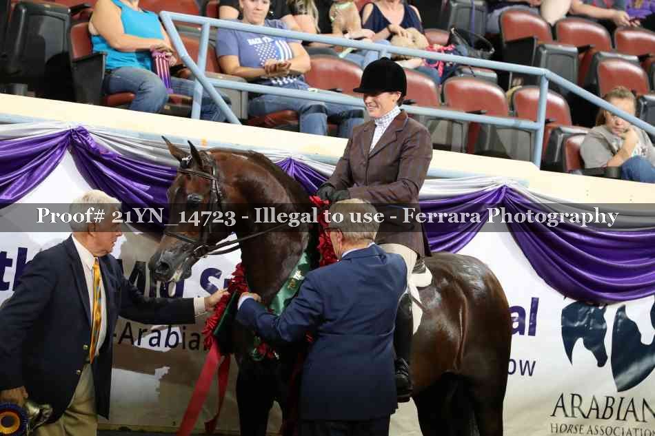 Proof Number 21YN_14723