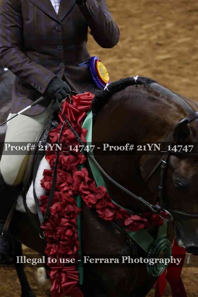 Proof Number 21YN_14747