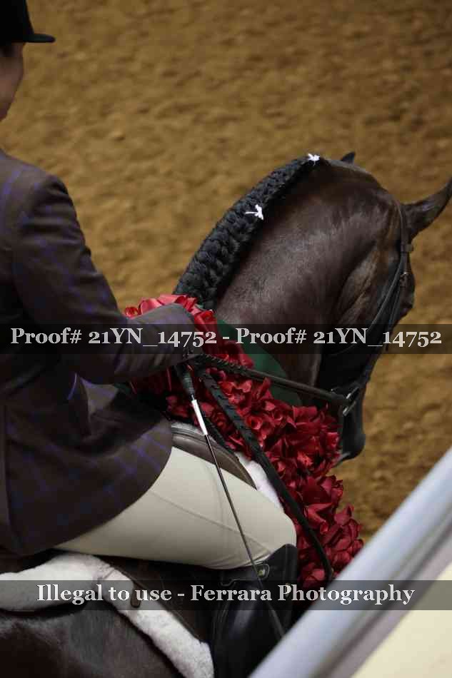 Proof Number 21YN_14752