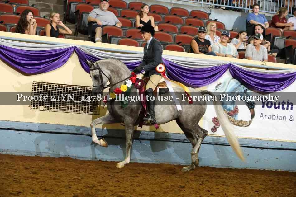 Proof Number 21YN_14781