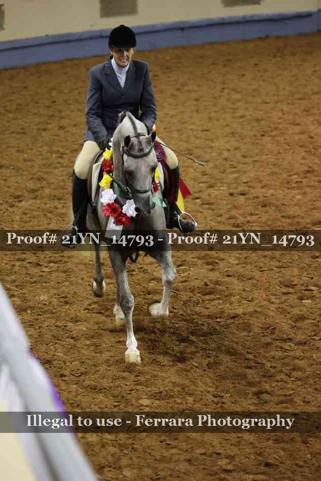 Proof Number 21YN_14793