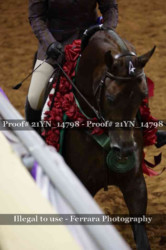 Proof Number 21YN_14798