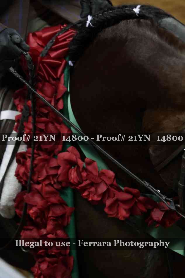 Proof Number 21YN_14800