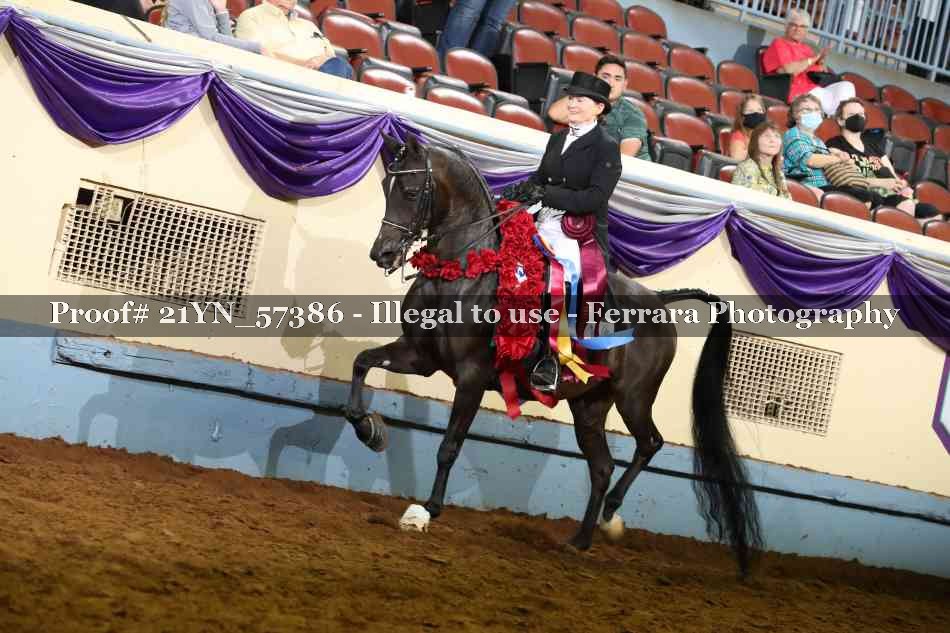 Proof Number 21YN_57386