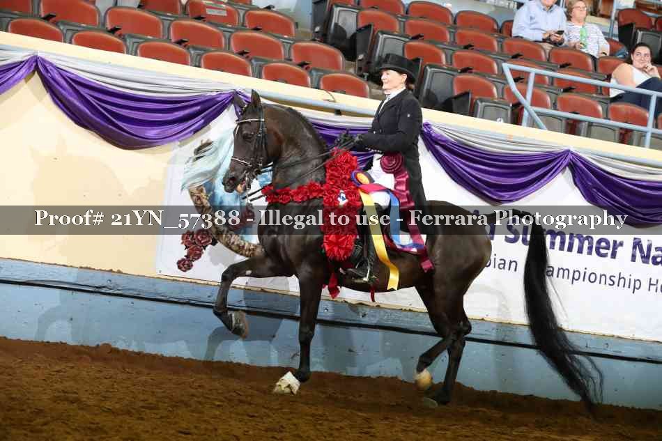 Proof Number 21YN_57388