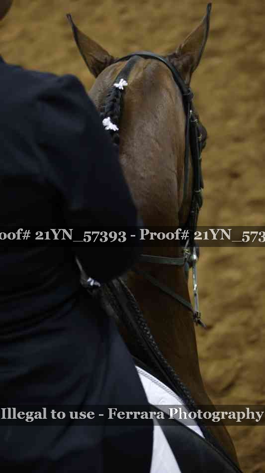 Proof Number 21YN_57393