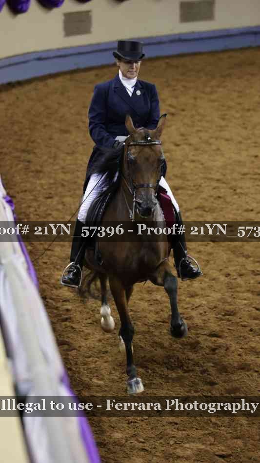 Proof Number 21YN_57396