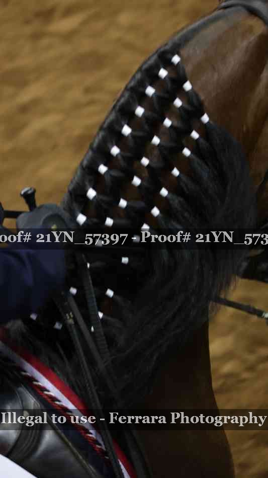 Proof Number 21YN_57397