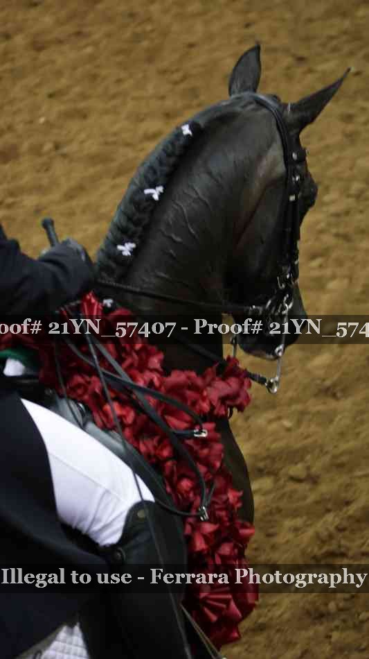 Proof Number 21YN_57407