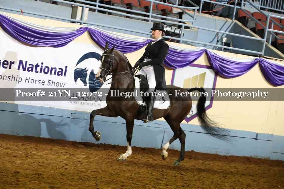 Proof Number 21YN_12072